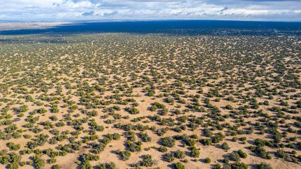 Undeveloped Land in Apache County, Arizona