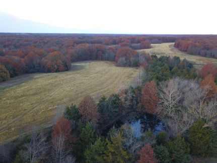 Farm and Ranch in Monroe County, Missouri
