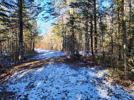 Farm and Ranch in Aroostook County, Maine