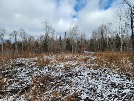 Farm and Ranch in Aroostook County, Maine