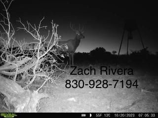 Undeveloped Land in Sutton County, Texas