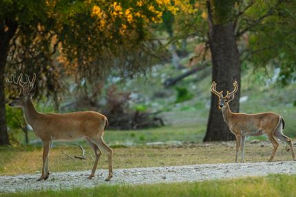 Recreational Property in Kerr County, Texas
