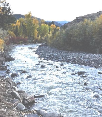 Farm and Ranch in Park County, Wyoming
