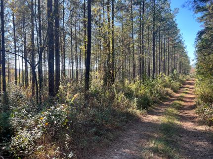 Recreational Property in Dale County, Alabama