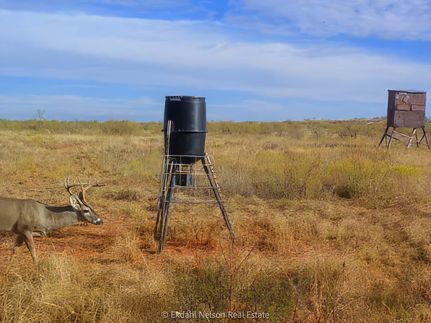 Farm and Ranch in Haskell County, Texas