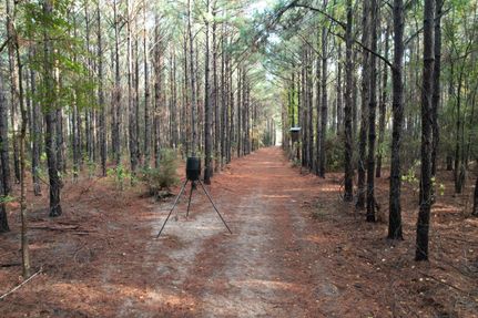 Farm and Ranch for sale in Houston County, Texas