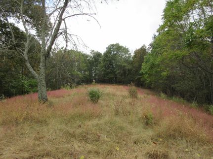Timberland Property in Jackson County, Alabama