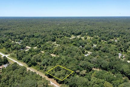 Undeveloped Land in Putnam County, Florida