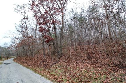 Lakefront Property in Pike County, Ohio