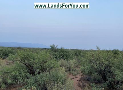 Undeveloped Land in Cochise County, Arizona