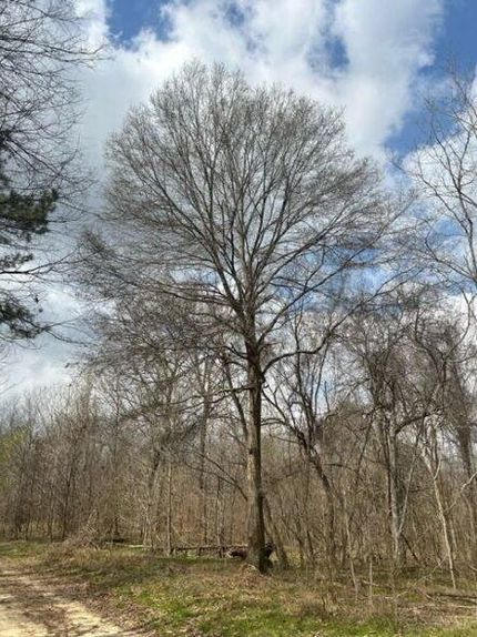Land in Adams County, Mississippi