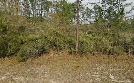 Land in Putnam County, Florida