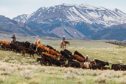 Farm and Ranch in Park County, Wyoming