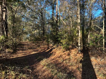 Farm and Ranch in Florence County, South Carolina