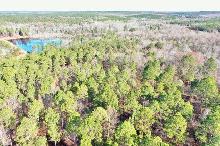 Undeveloped Land in Taylor County, Georgia