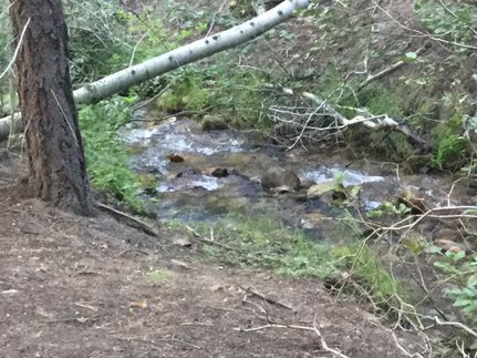 Land in Mono County, California