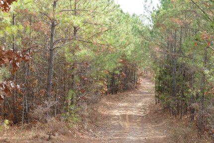 Timberland Property in Fayette County, Alabama