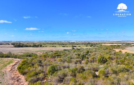 Farm and Ranch in Hill County, Texas