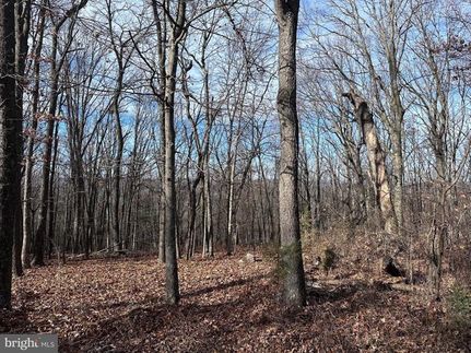 Farm and Ranch in Hampshire County, West Virginia