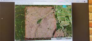 Land for sale in Tangipahoa Parish, Louisiana
