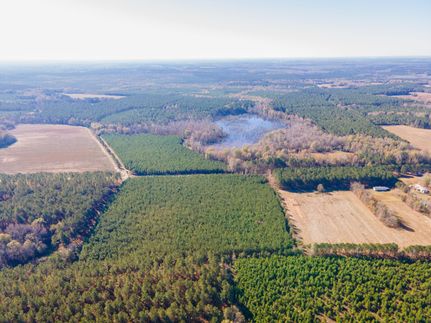 Hunting Property in Burke County, Georgia