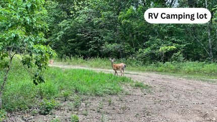 Undeveloped Land in Benton County, Missouri