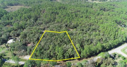 Farm and Ranch in Putnam County, Florida