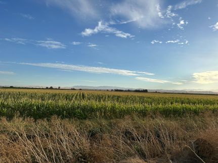 Farm and Ranch in Merced County, California