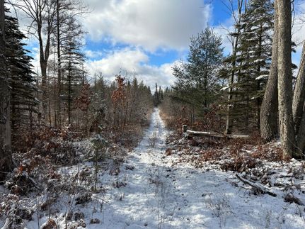 Farm and Ranch in Clare County, Michigan