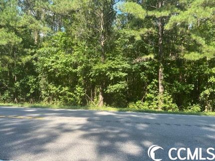 Undeveloped Land in Horry County, South Carolina