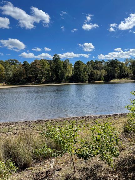 Undeveloped Land in Houston County, Texas