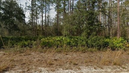 Undeveloped Land in Putnam County, Florida
