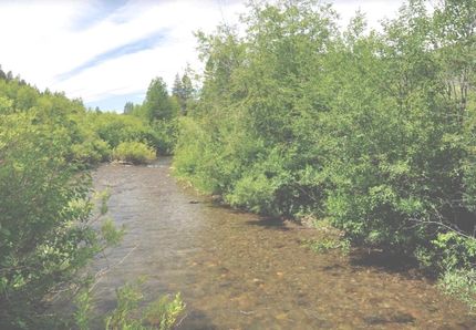 Timberland Property in Fremont County, Idaho
