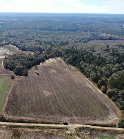 Farm and Ranch in Telfair County, Georgia