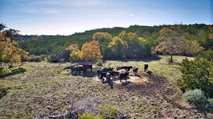 Farm and Ranch in Gillespie County, Texas