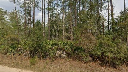Farm and Ranch in Putnam County, Florida