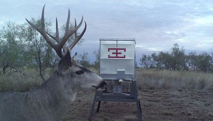 Recreational Property in Kent County, Texas
