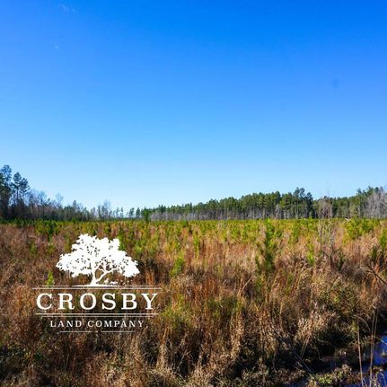 Farm and Ranch in Colleton County, South Carolina