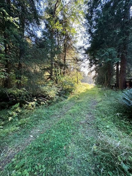 Undeveloped Land in Tillamook County, Oregon