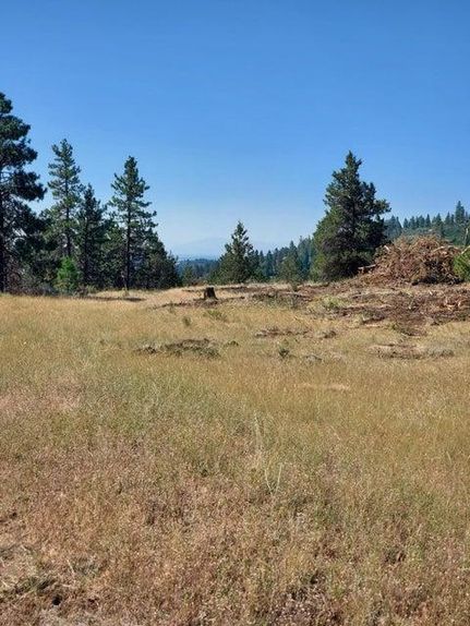 Undeveloped Land in Klamath County, Oregon
