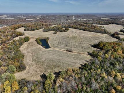 Timberland Property in Caldwell County, Kentucky