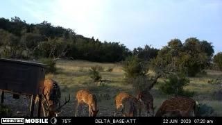 Recreational Property in Edwards County, Texas