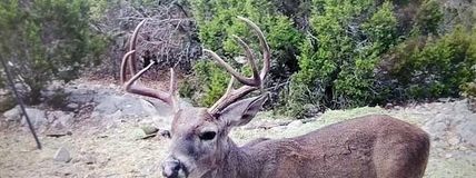 Farm and Ranch in Edwards County, Texas