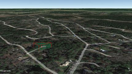 Undeveloped Land in Trinity County, Texas