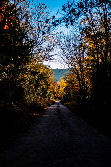 Farm and Ranch in Carroll County, Arkansas