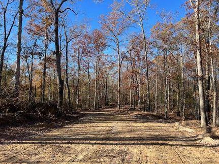 Riverfront Property in Ouachita Parish, Louisiana