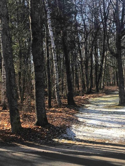Undeveloped Land in Oneida County, Wisconsin