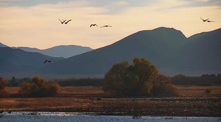 Timberland Property in Cochise County, Arizona