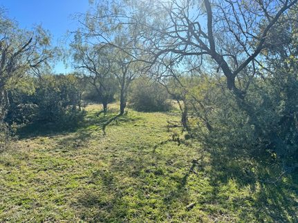 Timberland Property in Menard County, Texas