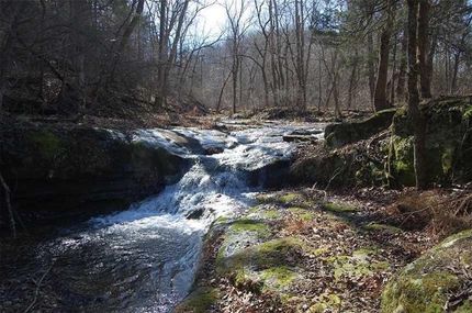 Hunting Property in Madison County, Arkansas